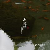 济南三月赏花指南丨五龙潭