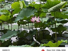 -她说户外烧烤团建(西湖店)