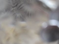 -天津自然博物馆