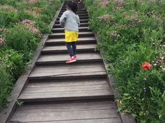 -洨河生态公园