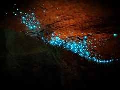 -怀托摩萤火虫洞