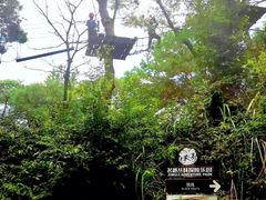 -芦仙山景区-飞越丛林探险乐园