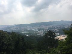 -火炉山森林公园