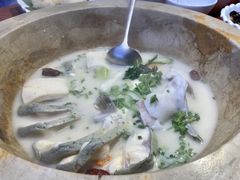 -云中鱼蒸汽石锅鱼(浦东食品城店)