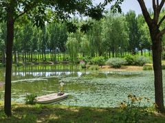 -东郊湿地公园