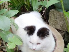 -老屋咖啡