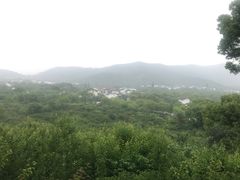 -香雪海