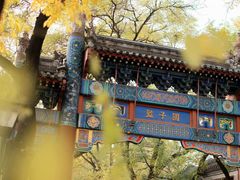 -北京国子监胡同