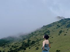 -大姆山草场