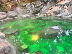 -湖泉半山温泉