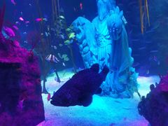 -沈阳海洋探索中心