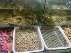 -福建美食城(老君堂店)