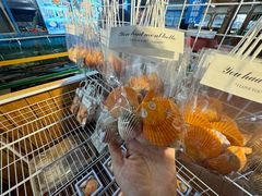 -蓝湾碧波·老字号·疍家非遗海上餐厅
