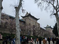 -武汉大学-樱园