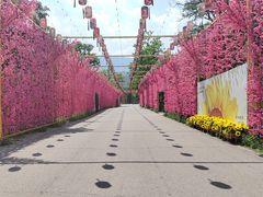 -北京凤凰岭