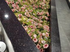 -小杨生煎(龙之梦购物中心店)