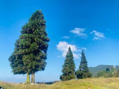 -萍乡武功山风景名胜区