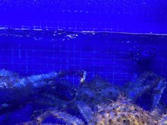 -箸福·夜上海(月牙湖公园店)
