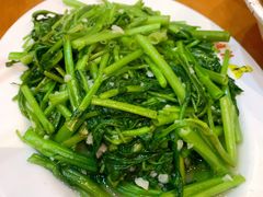 炒空心菜-澳门陈光记烧味饭店(郎家园店)
