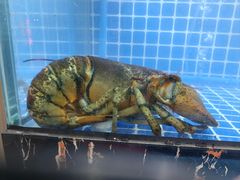 -碧海银沙海鲜餐厅(恒大海上威尼斯店)