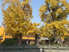 -圆通寺