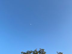 -燕晗山郊野公园