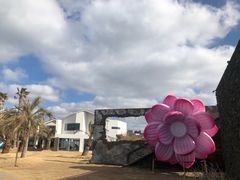 -Cafe Aewol Monsant