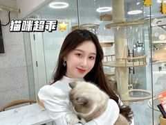 -喵园·猫主题咖啡厅·撸猫·猫咖(国贸店)