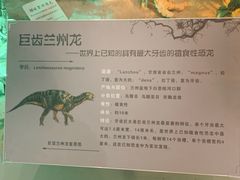 -甘肃地质博物馆