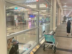 -厦门高崎国际机场-T3航站楼