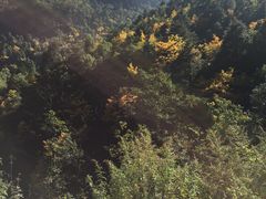 -苍山感通索道