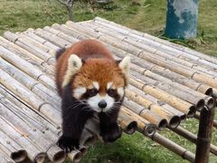 -泉州海丝野生动物世界