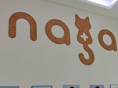 -纳吉亚猫专科动物医院·北北分院