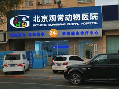-北京观赏动物医院·24小时大型综合·猫专科·异宠专科