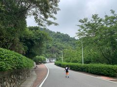 -火炉山森林公园