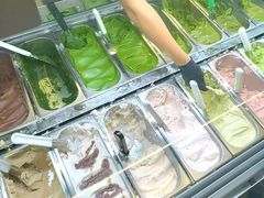 -鹤茶野所(上海首店)