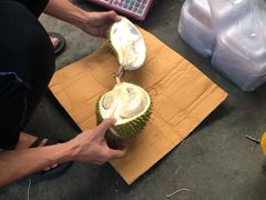 -三亚新鸿港水果一级批发市场