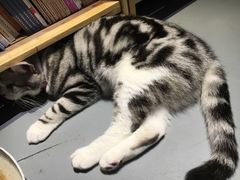 -小时光咖啡馆(开森度假森林店)