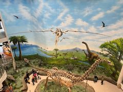 -辽宁古生物博物馆