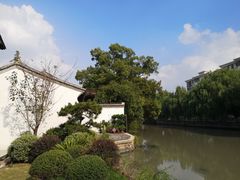 -月栖华明-云间草堂清茶馆(泗泾古镇店)