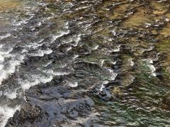 -楠溪江风景名胜区