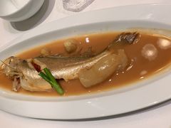 鮸鱼胶黄鱼-荣府宴(南阳路店)