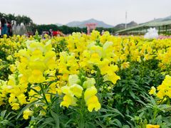 -盈香心动乐园