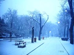 upload_pic-西海子公园