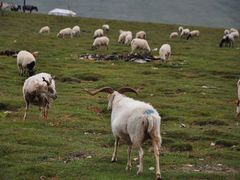 -青海湖国家重点风景名胜区