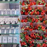 宁波新店｜园区里的潮咖 拍照也太出片了