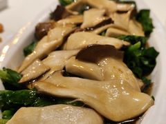皇子菇扒豆苗-鱼乐轩海鲜专门店