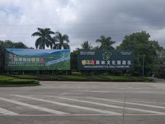-呀诺达热带雨林