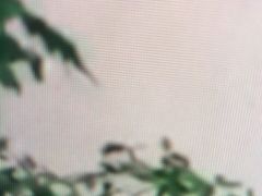 -星巴克(北京望京东园店)
