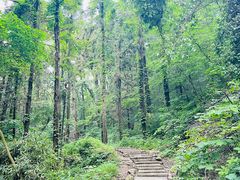 -素山寺森林公园